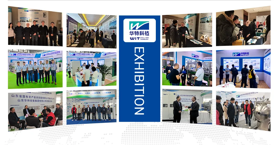 Exposição