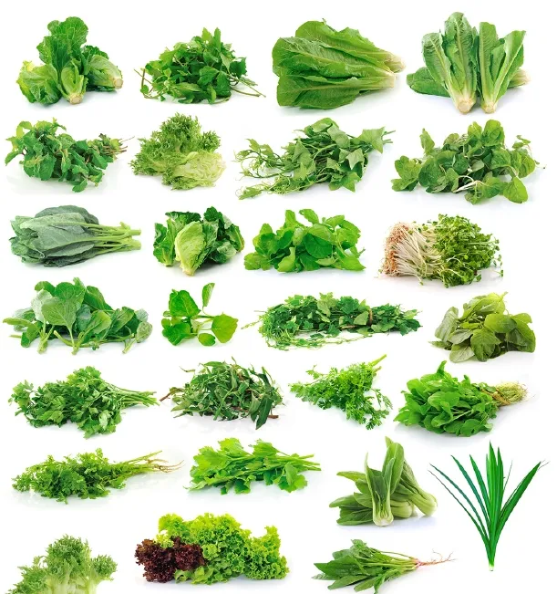 Crescimento de Plantas