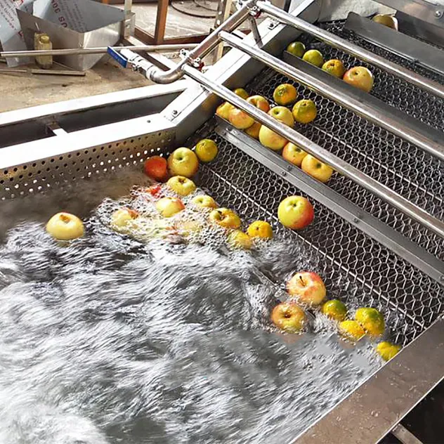 Máquina de Lavar Frutas e Legumes