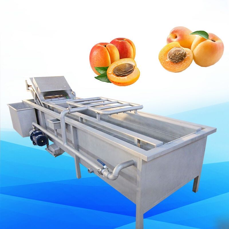 Máquina de Lavar Frutas e Legumes com Desinfecção por Ozônio e Bolhas de Ar