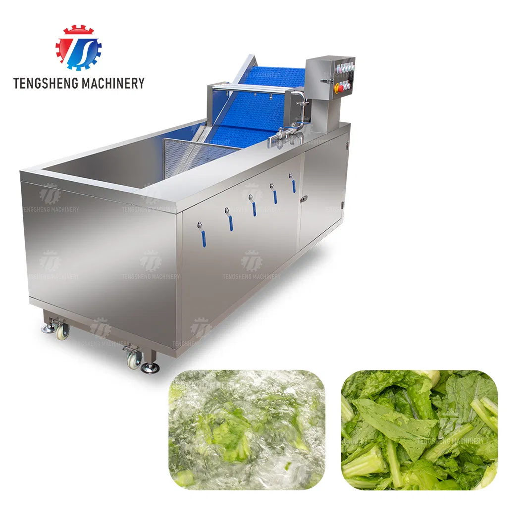 Ts-X200 Máquina de Lavagem de Frutas, Legumes, Frutos do Mar com Desinfecção por Ozônio