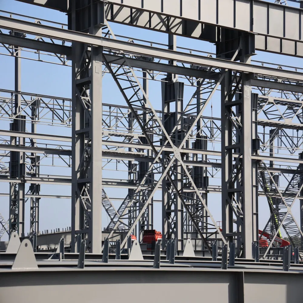 Premium Steel Hangar for Versatile Storage and Organization