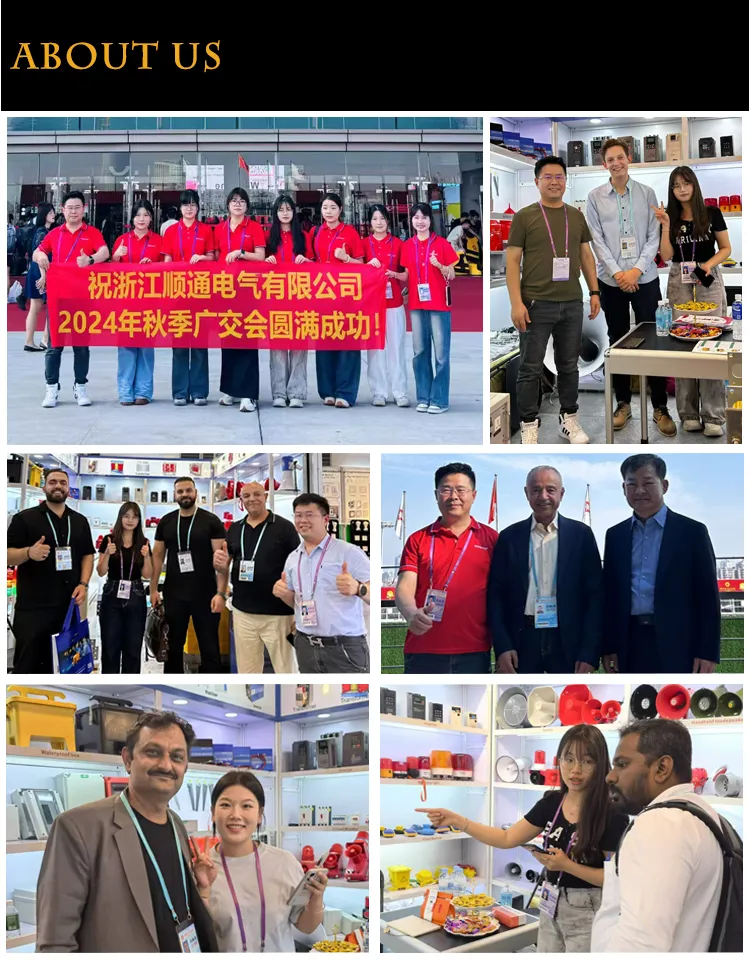 Audio-Visual Alarm Device 11