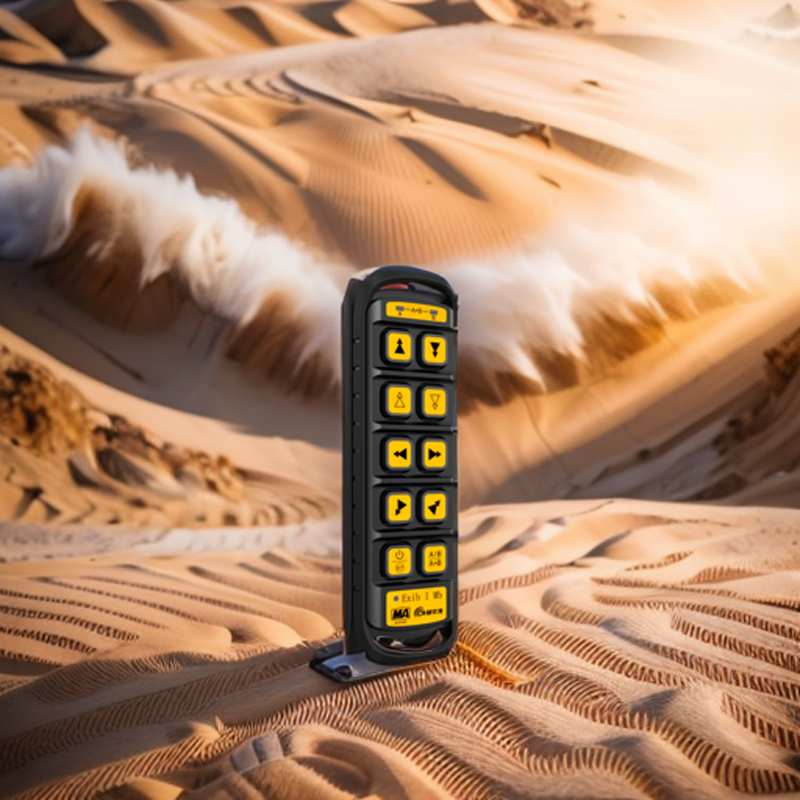 Industrial Mine Remote Control Device with RF Signal and Explosion-Proof