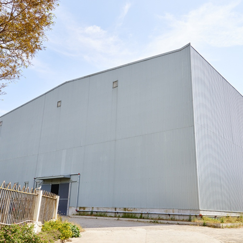 Customized Cheap Durable Steel Structure Warehouse/Workshop/Shed/Hangar/Hall Buildings