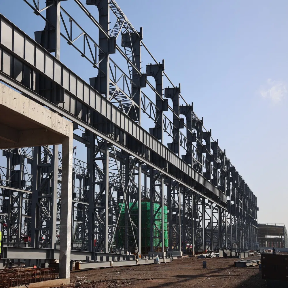 Heavy-Duty Hangar for Streamlined Storage and Personalization Options