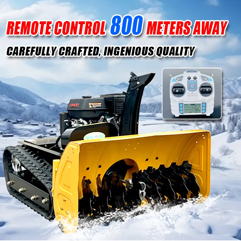 Snow Removal Detail 1