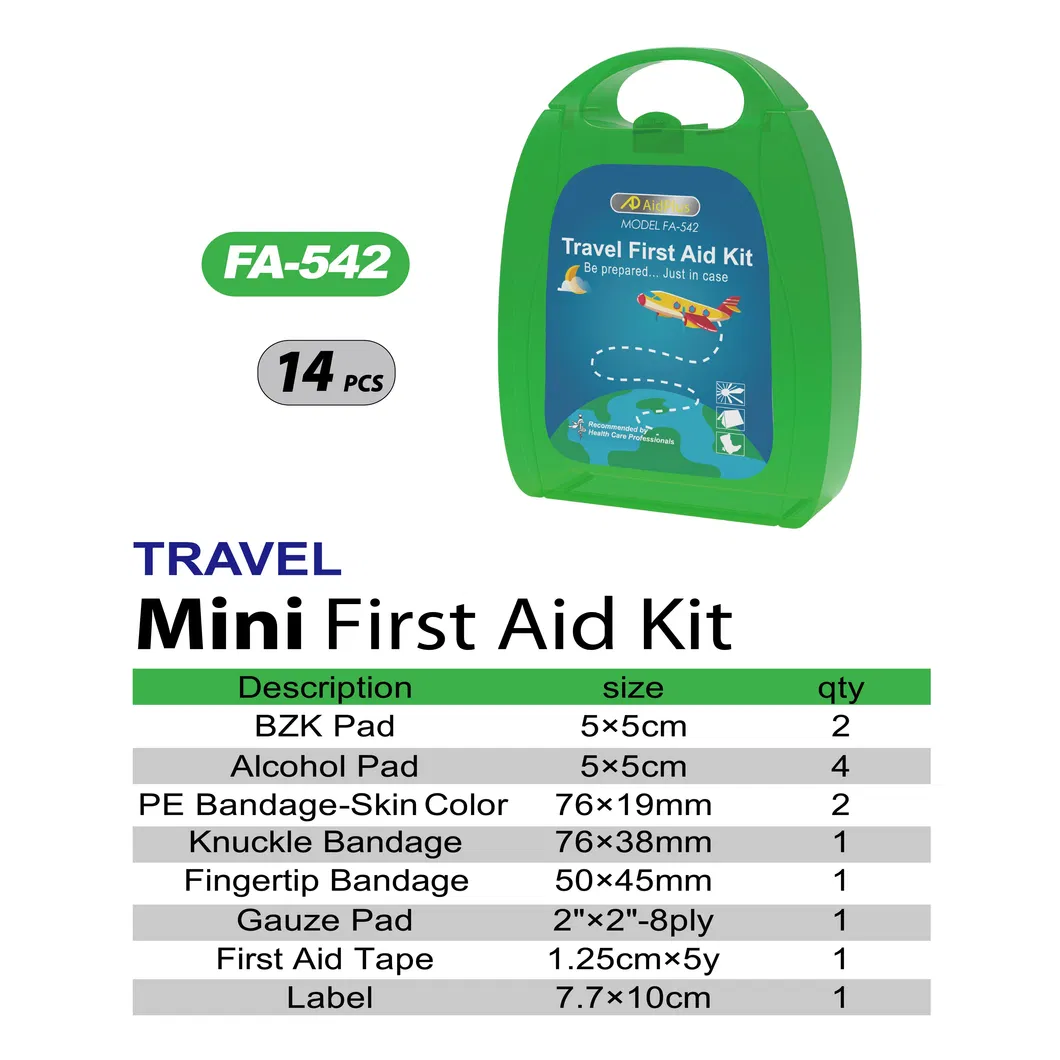 Mini First Aid Kit