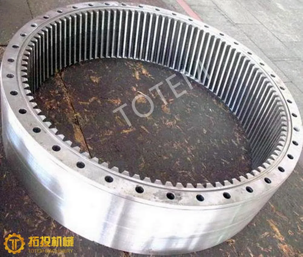 Internal Gear Photo 2