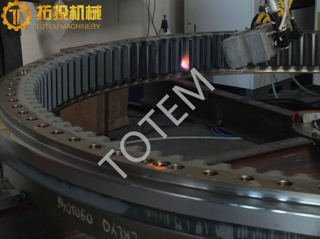 Internal Gear Photo 1