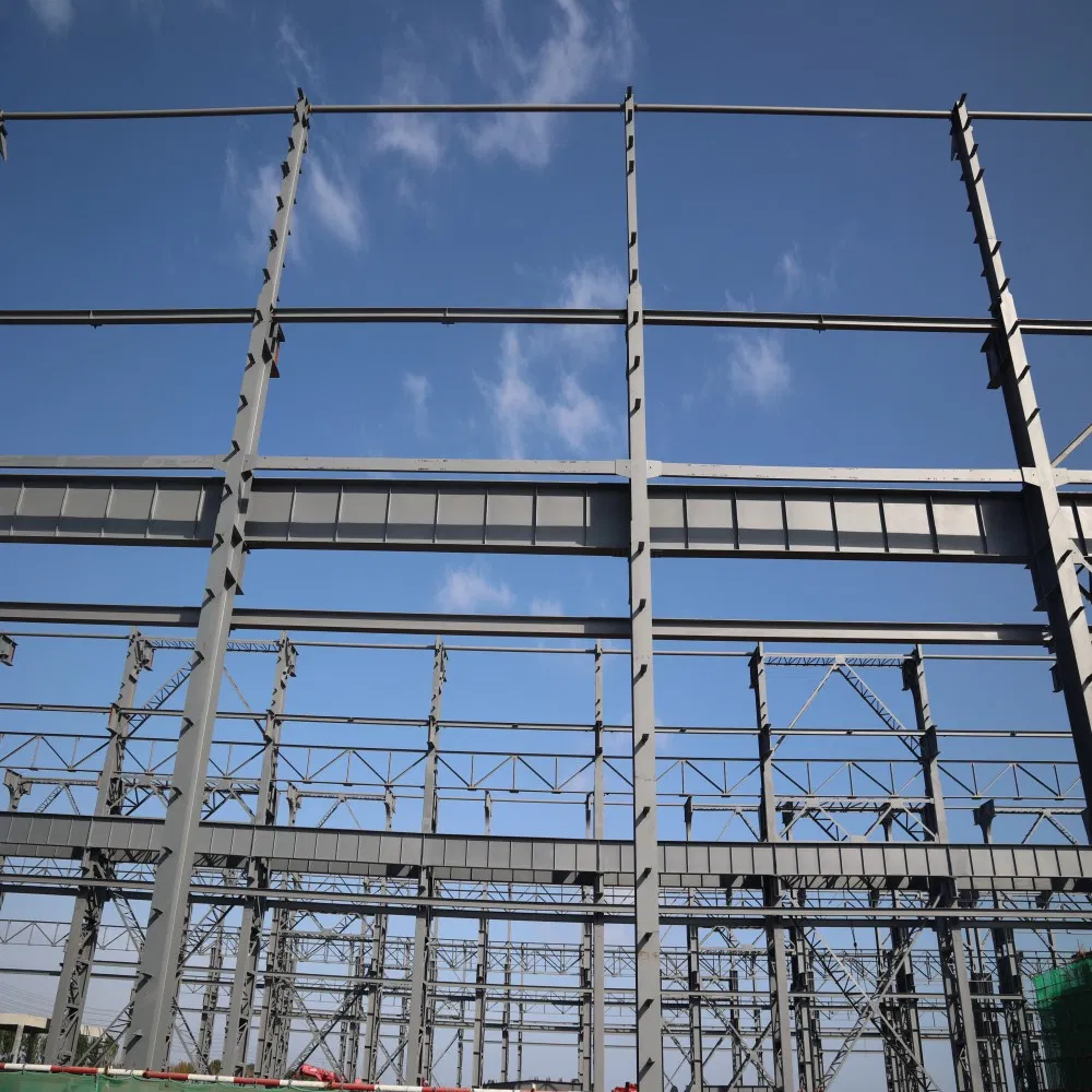 Premium Steel Hangar for Versatile Storage and Organization