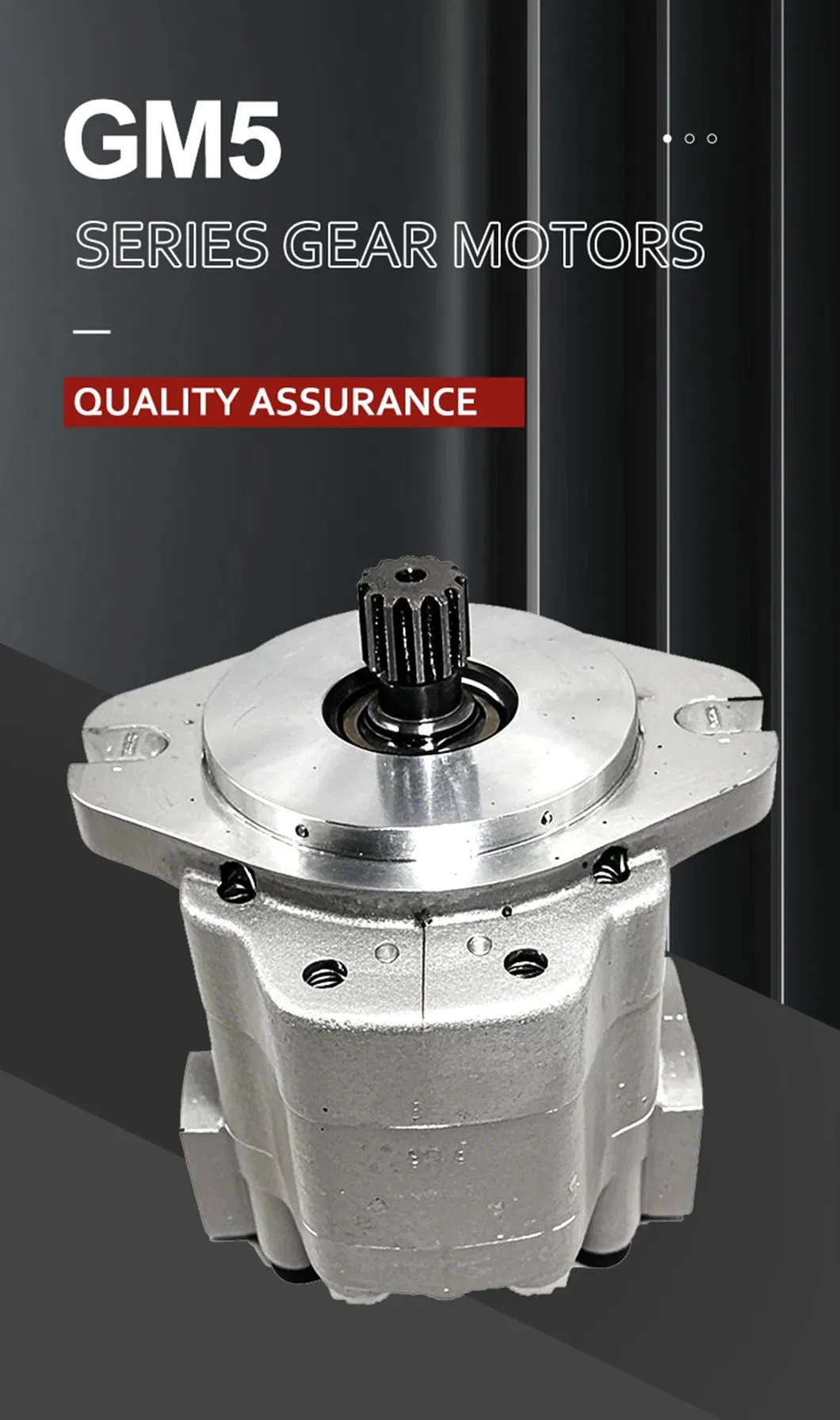 GM5 Hydraulic Gear Motor