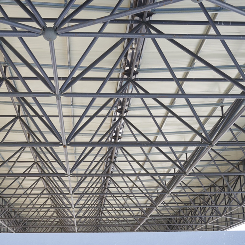 Customized Cheap Durable Steel Structure Warehouse/Workshop/Shed/Hangar/Hall Buildings