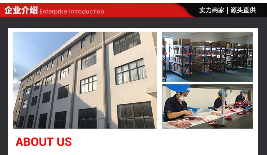 Survival First Aid Kit