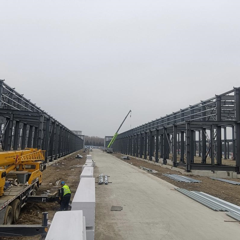 Multifunctional Steel Structures: Warehouses, Sheds and Hangars for Every Need