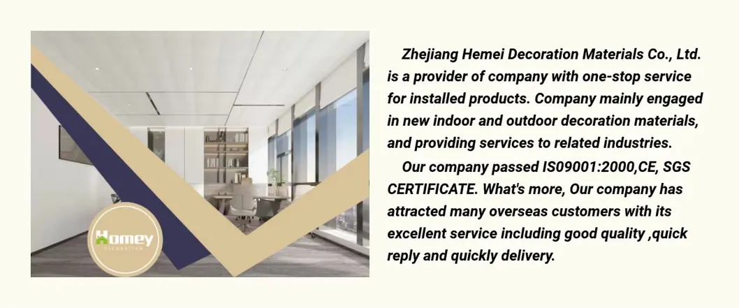 Professional Service