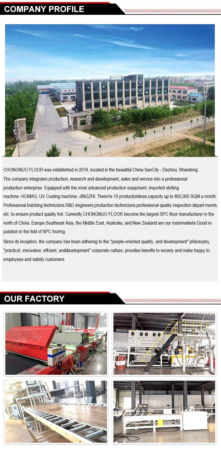 Factory Production Line