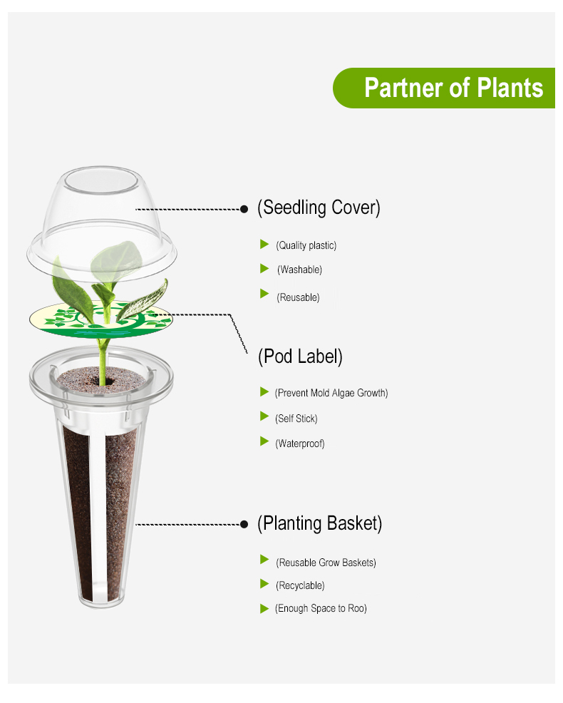Leafy Vegetables Growth