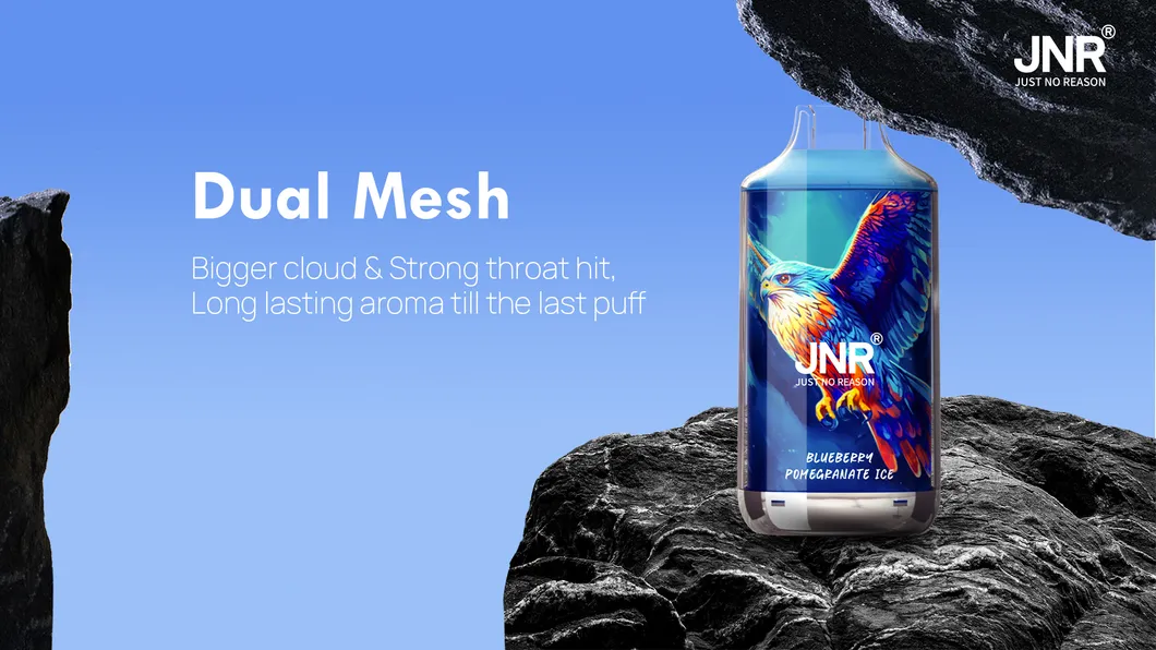 Jnr Eco-Friendly Packaging Available in Various Nicotine Levels Falcon Disposable Vape
