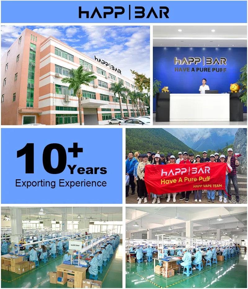 Factory Production Line and Quality Inspection