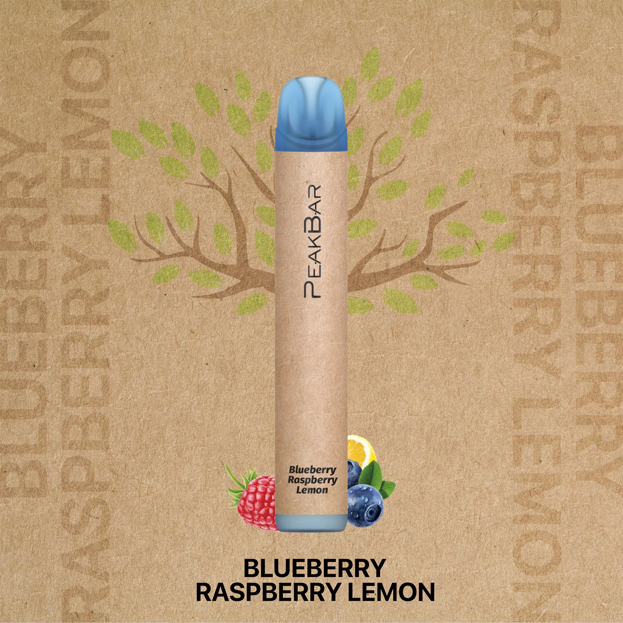 Eco-Friendly Recyclable Disposable Vape with 400mAh Battery Capacity