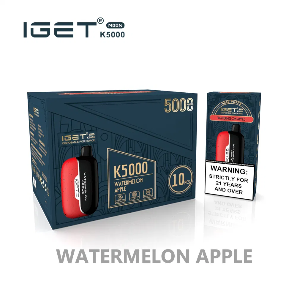 Nicotine Salts E Cigarette Top Sell Iget Moon 5000 Puffs EU Shipping Free Disposable 5K Puff Vape