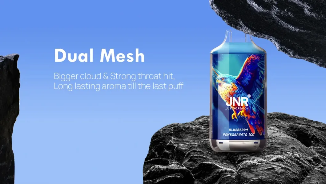 Wholesale Jnr Falcon 16000 Puffs Disposable Pod Dual Mesh Coil Puffs Puff Bar Vaper Empty Vapes Wape Disposable Vape