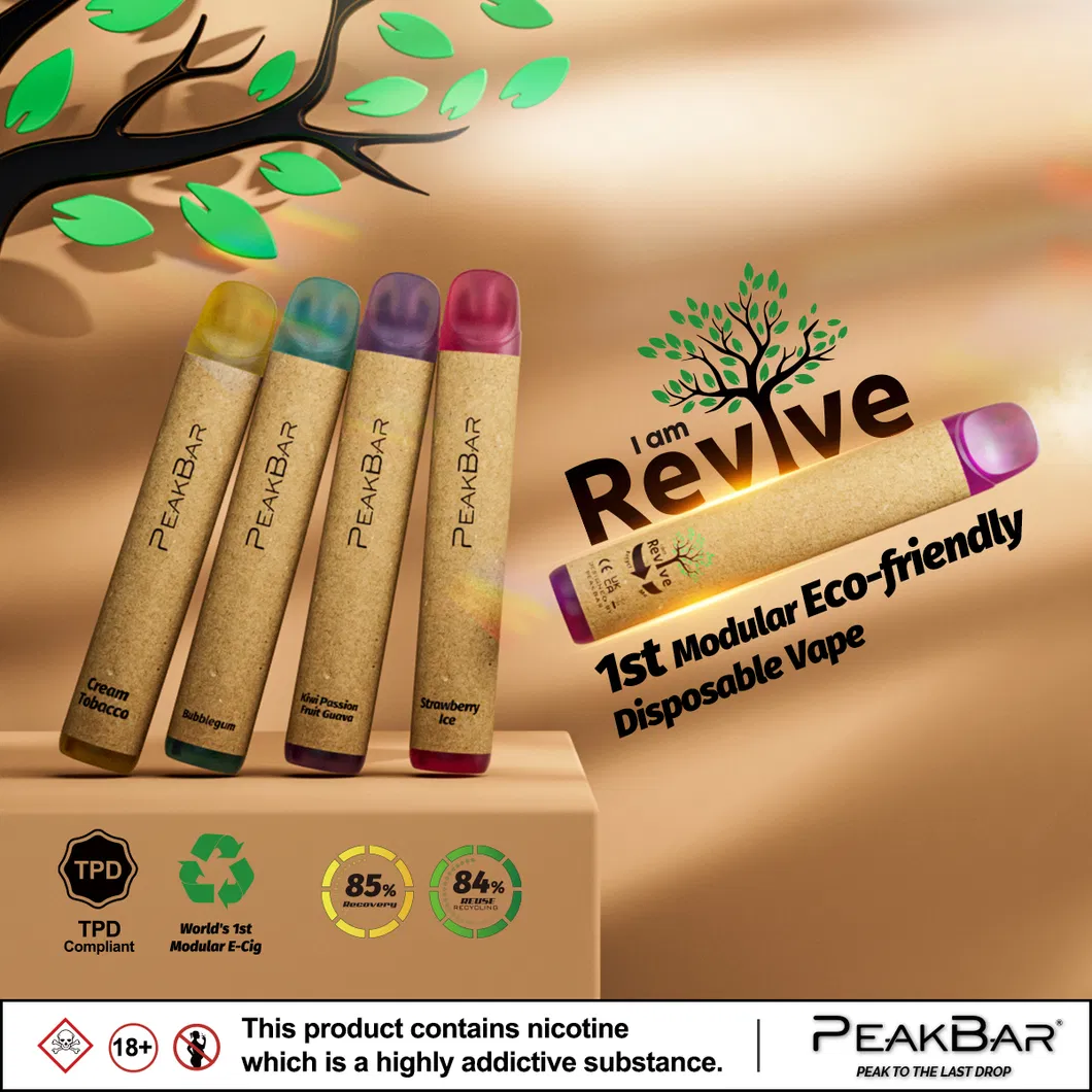 400mAh Eco-Friendly Disposable Vape with 2ml E-Liquid Volume