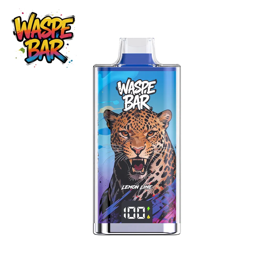 Free Nicotine Disposable E Puff Electric Vape Nicotine Salt Vape Pod 60K Puffs