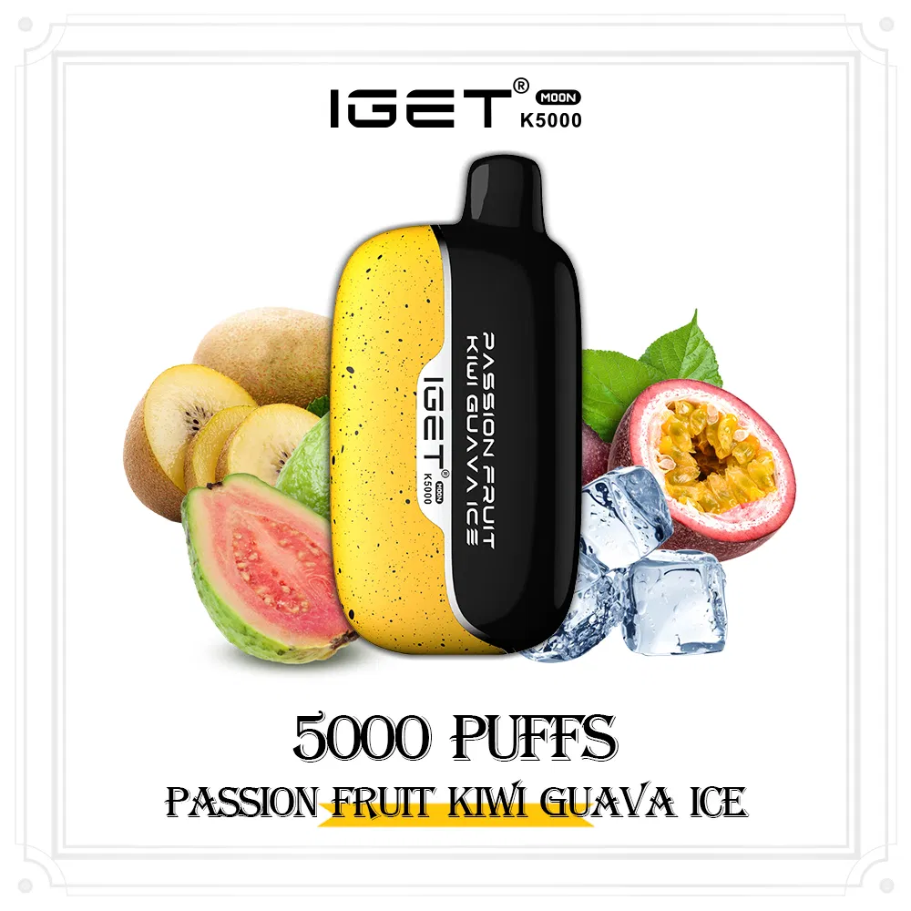 Nicotine Salts E Cigarette Top Sell Iget Moon 5000 Puffs EU Shipping Free Disposable 5K Puff Vape