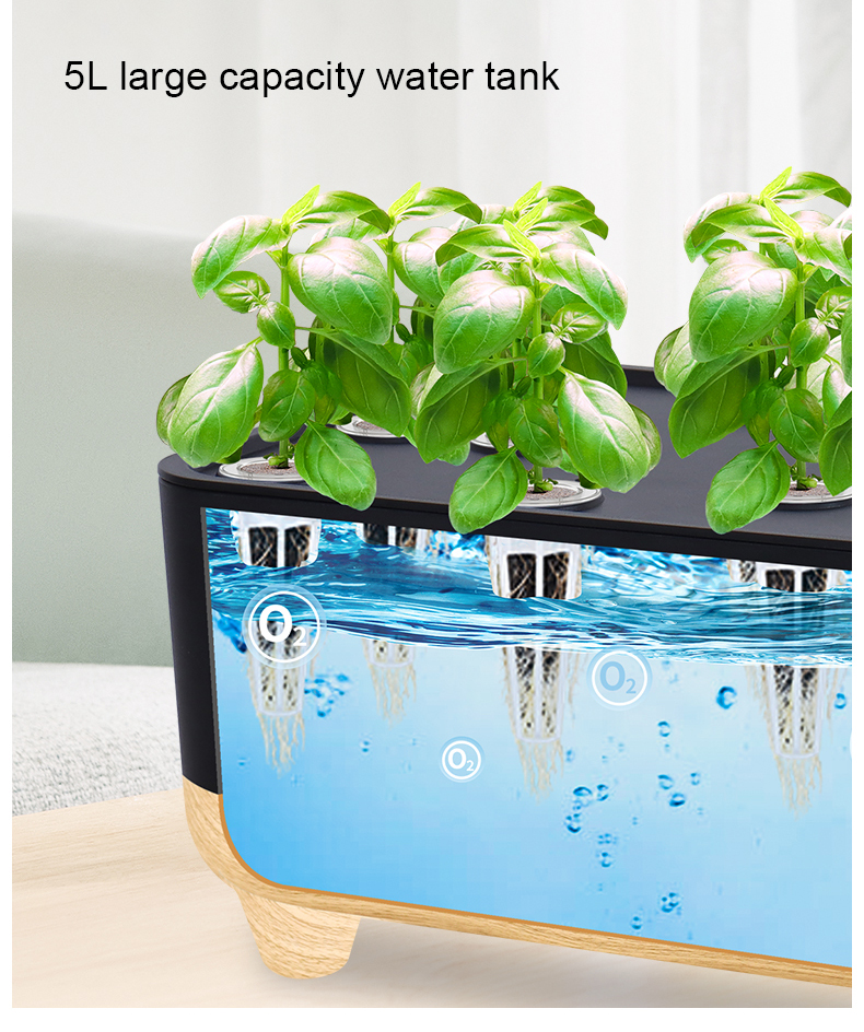 Vegetable Sprouting Stage
