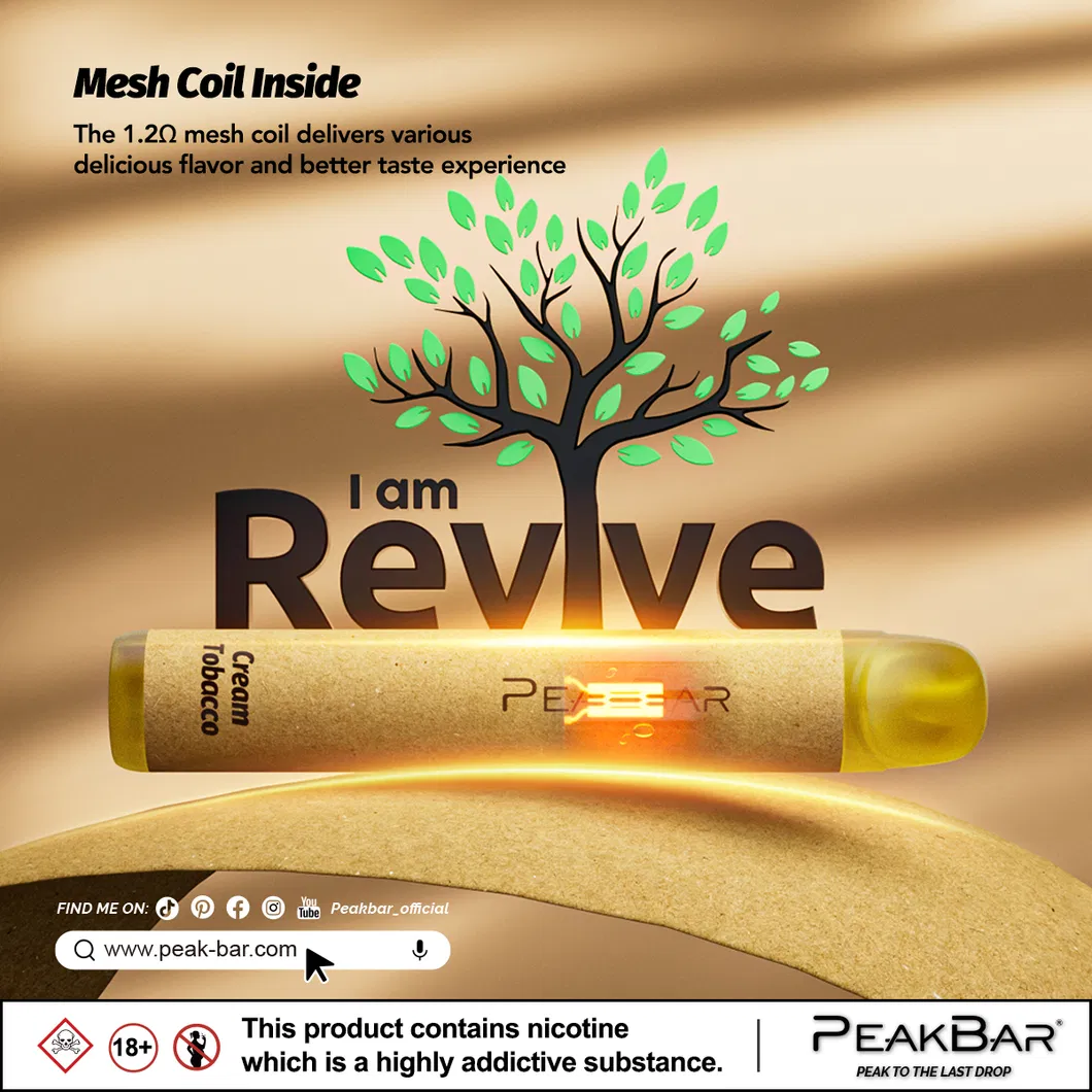 400mAh Eco-Friendly Disposable Vape with 2ml E-Liquid Volume
