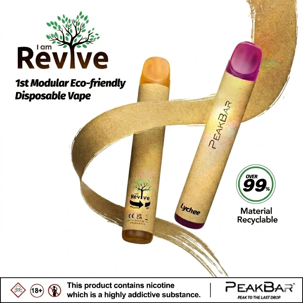 Eco-Friendly Recyclable Disposable Vape with 400mAh Battery Capacity
