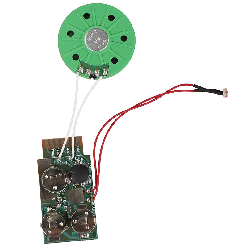 Recording Module Detail 4