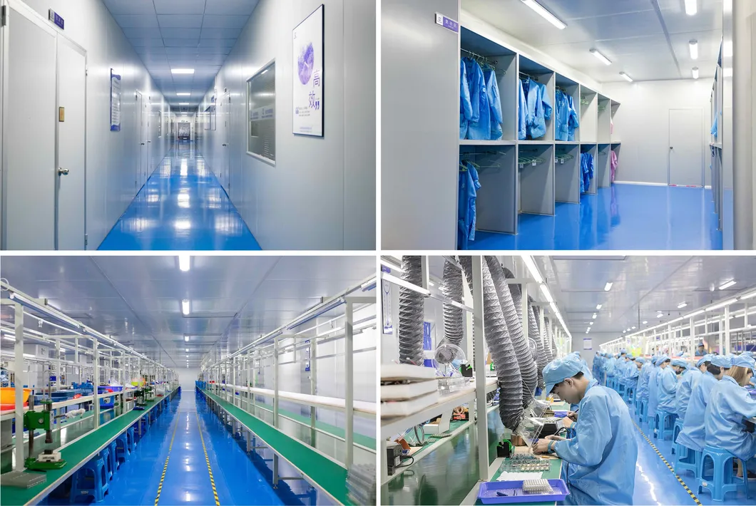 Dust-Free Clean Manufacturing Facility