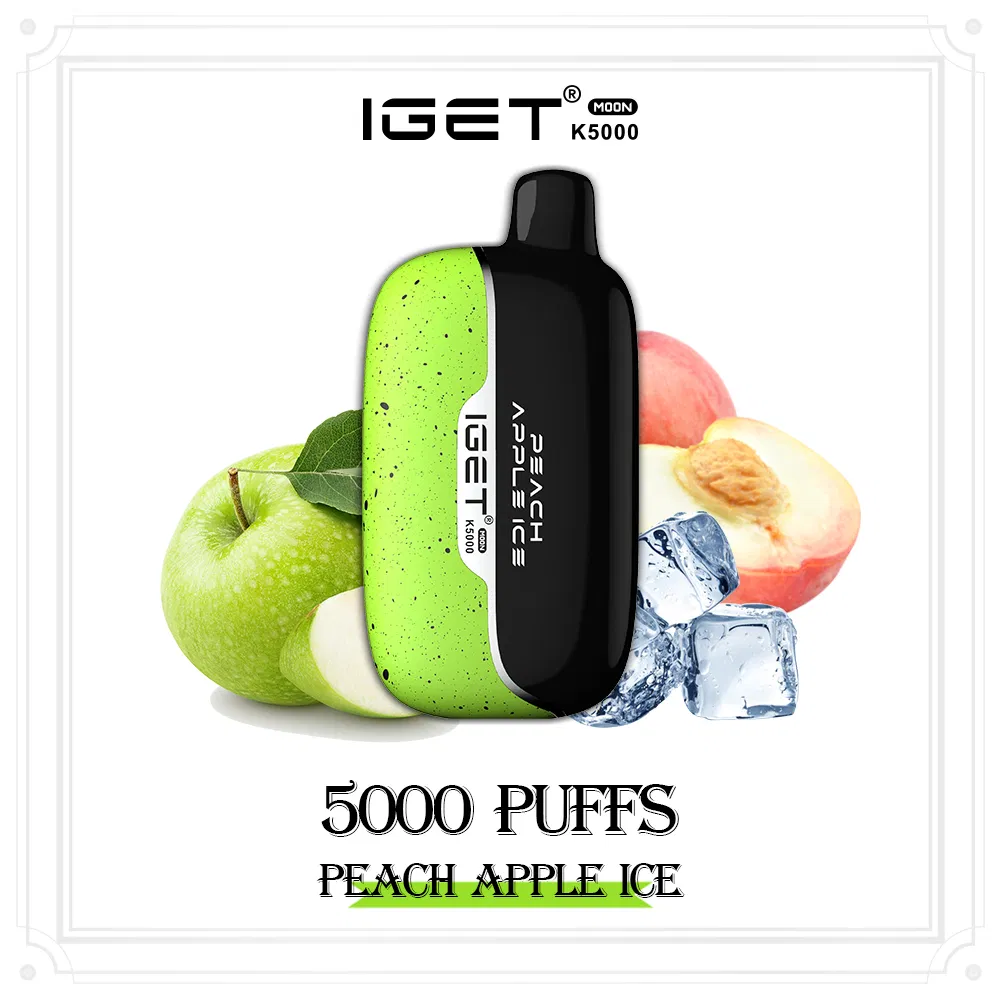 Nicotine Salts E Cigarette Top Sell Iget Moon 5000 Puffs EU Shipping Free Disposable 5K Puff Vape