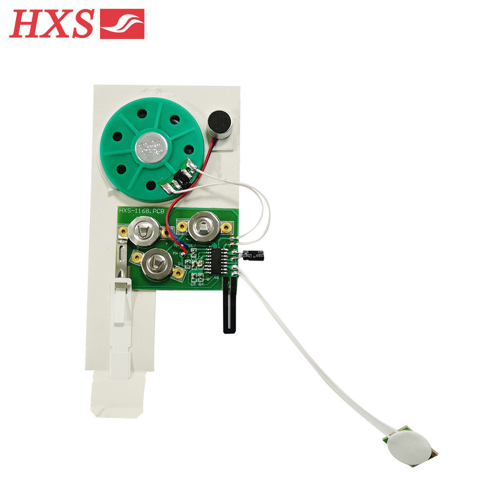 Recordable sound module