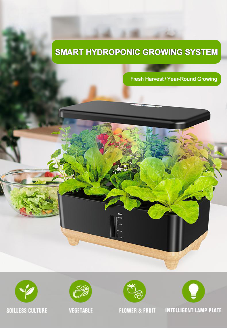 Hydroponic System Design