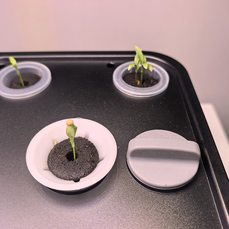 Starfarm 12 Pods Touch Display Indoor Smart Hydroponic LED Grow Kit for Herbs &amp; Vegetables-Environment-Friendly 1 Year Warranty