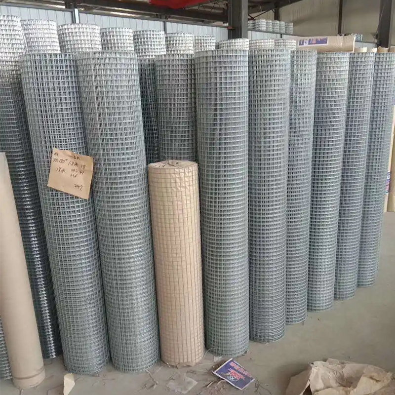 Industrial Galvanized Wire Mesh for Building Reinforcement and Protective Enclosure Systems