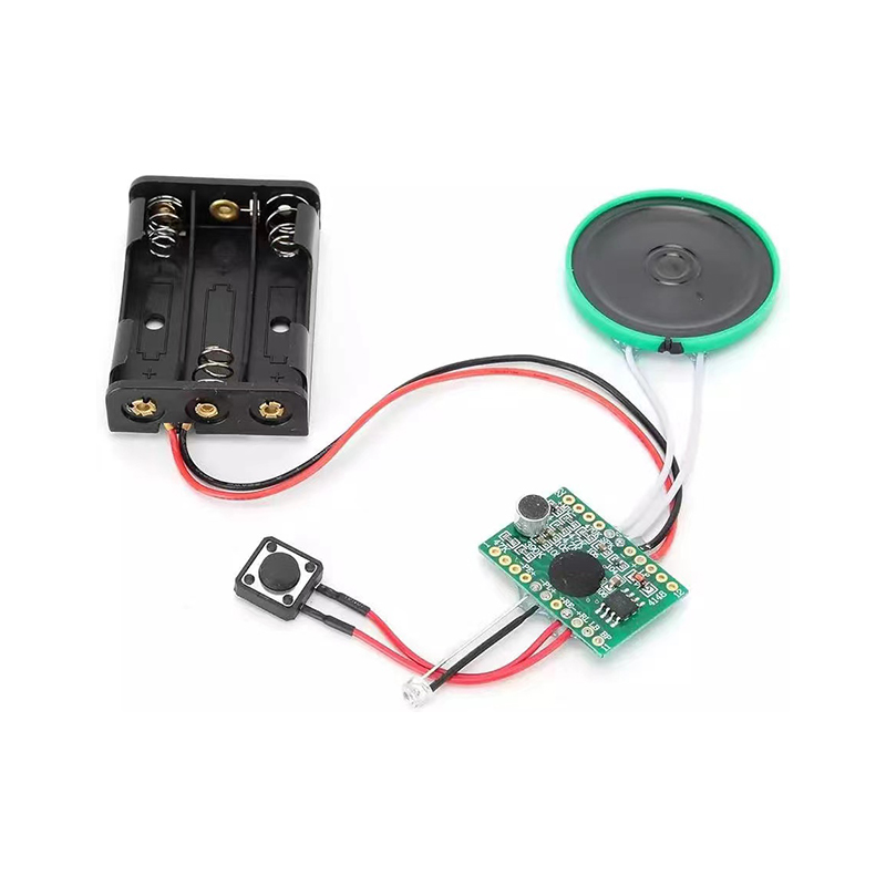 Customized squeezed sound module with push button activated music chip for musical gift
