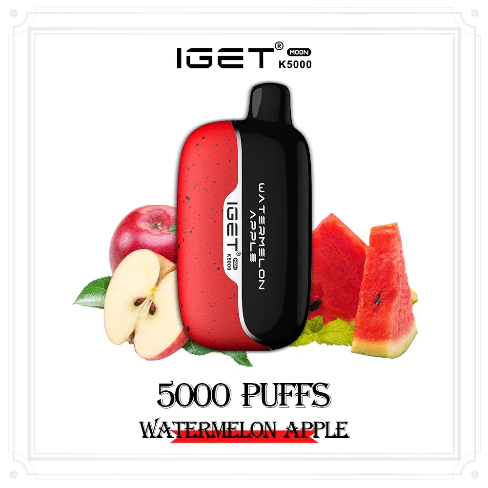 Nicotine Salts E Cigarette Top Sell Iget Moon 5000 Puffs EU Shipping Free Disposable 5K Puff Vape