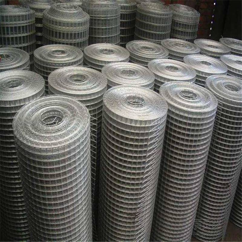 Industrial Galvanized Wire Mesh for Building Reinforcement and Protective Enclosure Systems