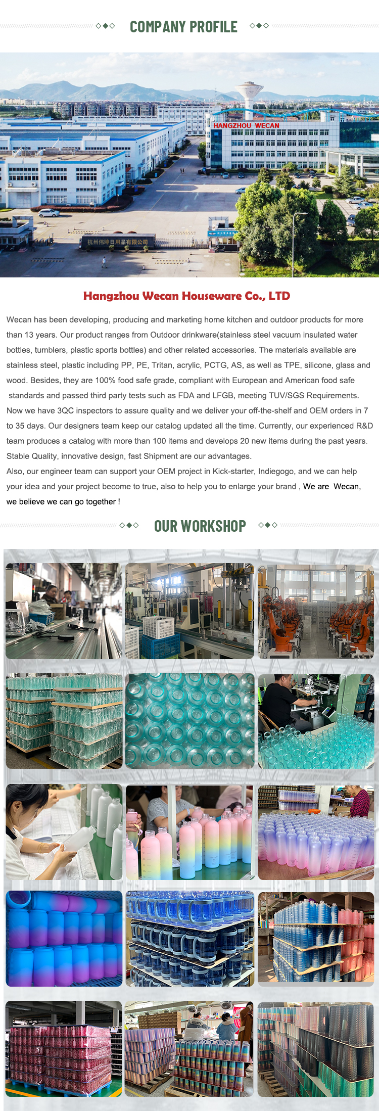 Company Profile 1