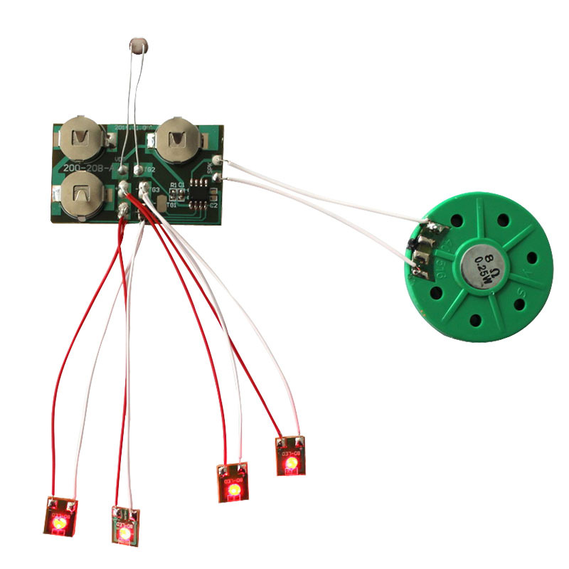 Recording Module Detail 2