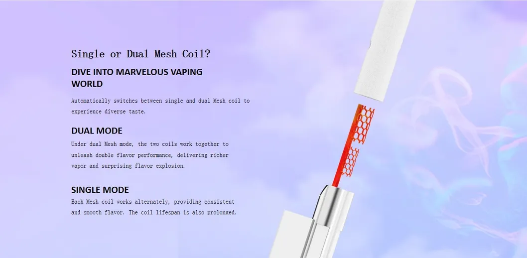 XP 18000 Detail 3