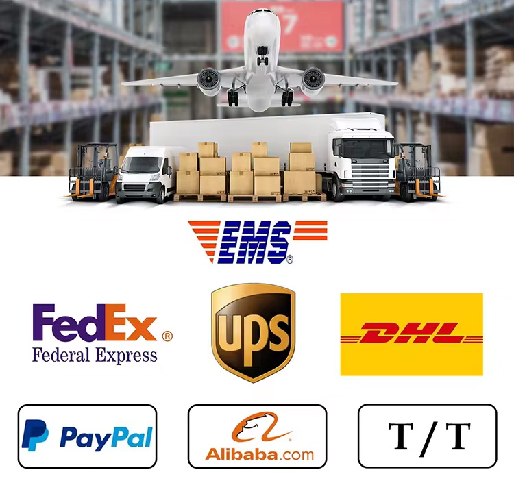 Shipping Logistics and Payment Methods