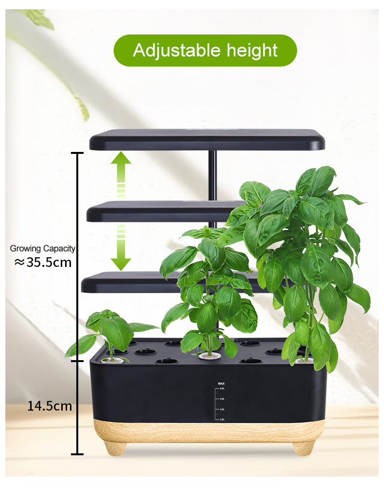 Water Circulation System