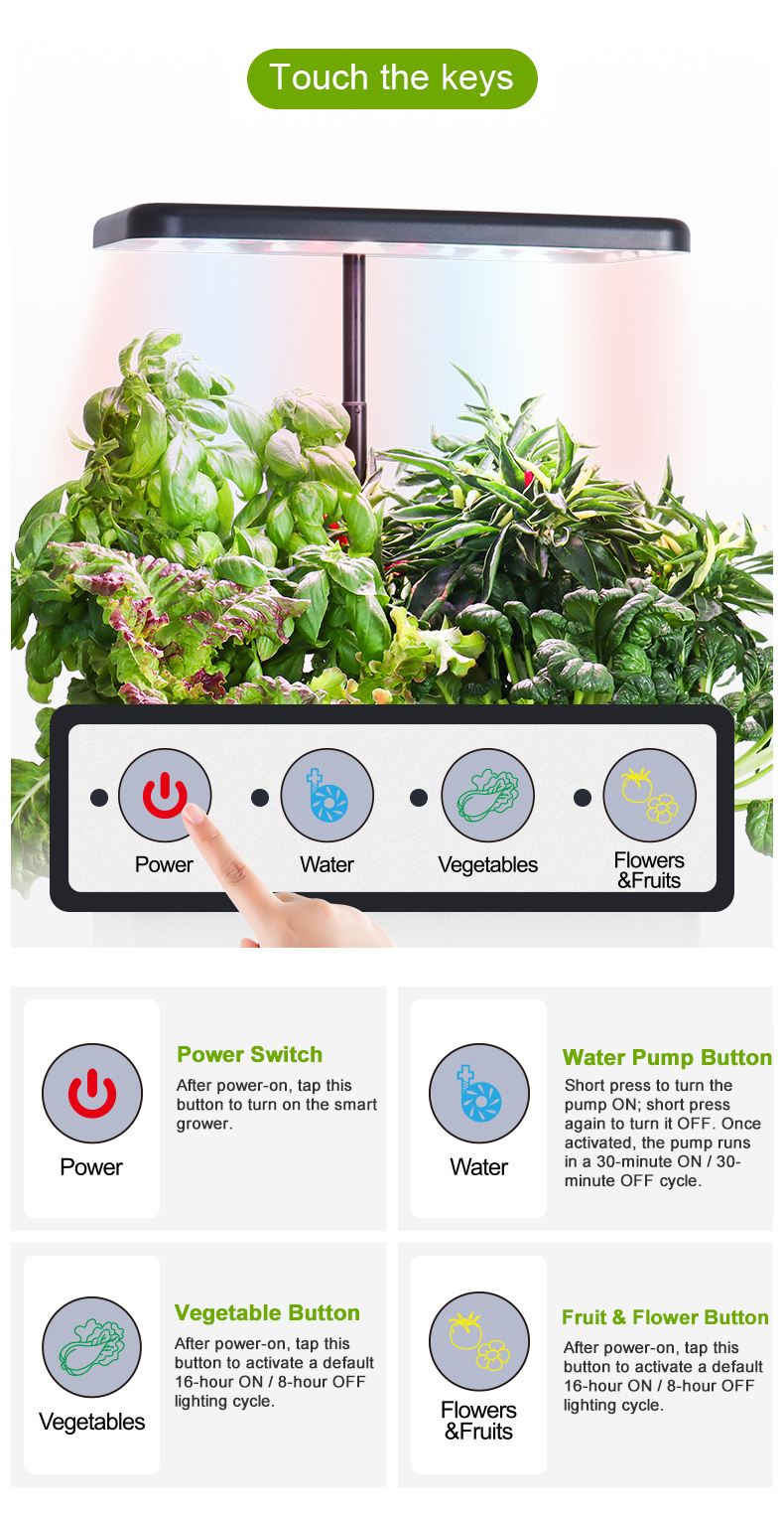 Indoor Planting Setup