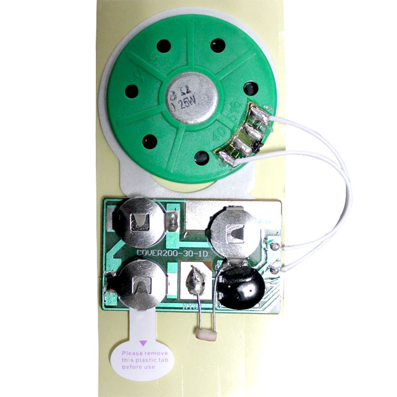 Recording Module Detail 3